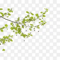 树枝手绘图案-空若网 树枝手绘图案-空若网