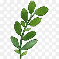 手绘树枝-空若网 手绘树枝-空若网