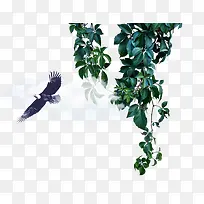 ×°ÊÎÊ÷Ö¦Ê÷Ò¶-¿ÕÈôÍø ×°ÊÎÊ÷Ö¦Ê÷Ò¶-¿ÕÈôÍø