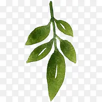 手绘树枝-空若网 手绘树枝-空若网