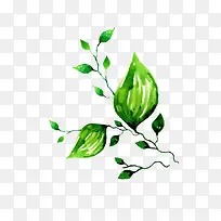 ��֦-������