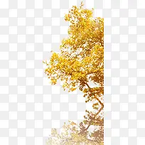 Ê÷-¿ÕÈôÍø Ê÷-¿ÕÈôÍø