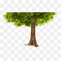 ����-������