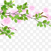 树枝树叶-空若网 树枝树叶-空若网