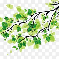 ��֦-������