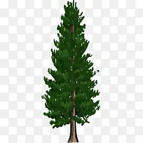 卡通手绘树木树叶-空若网 卡通手绘树木树叶-空若网