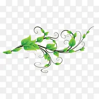 Ê÷Ò¶-¿ÕÈôÍø Ê÷Ò¶-¿ÕÈôÍø