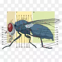 ¼ÒÓ¬À¥³æ½âÆÊ-¿ÕÈôÍø ¼ÒÓ¬À¥³æ½âÆÊ-¿ÕÈôÍø