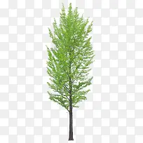 һ�ÿɰ�����-������