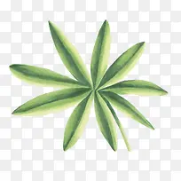 ˮ���ֻ�ֲ��Ҷ��-������