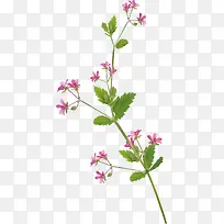 ����-������