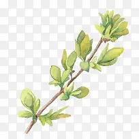 手绘水彩树叶叶子-空若网 手绘水彩树叶叶子-空若网