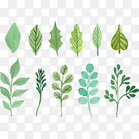 手绘树叶-空若网 手绘树叶-空若网