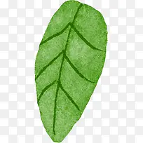 手绘水彩树叶-空若网 手绘水彩树叶-空若网