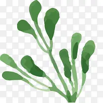 水彩画 植物 花朵 手绘 树叶-空若网 水彩画 植物 花朵 手绘 树叶-空若网