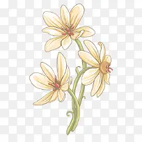 �ֻ滨��-������