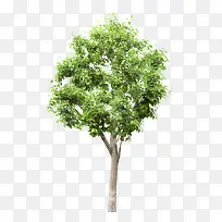 ��-������