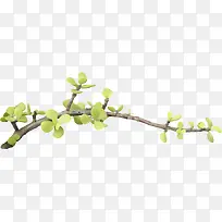 树枝-空若网 树枝-空若网
