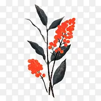 �ֻ�ֲ��-������