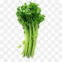 ËØ²Ë-¿ÕÈôÍø ËØ²Ë-¿ÕÈôÍø