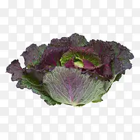 紫色蔬菜-空若网 紫色蔬菜-空若网