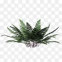 小草-空若网 小草-空若网