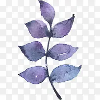 �ֻ���Ҷ-������