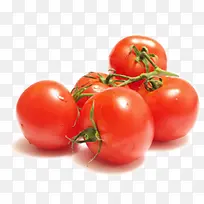 Î÷ºìÊÁ-¿ÕÈôÍø Î÷ºìÊÁ-¿ÕÈôÍø