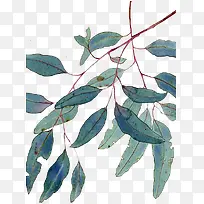 手绘树叶-空若网 手绘树叶-空若网