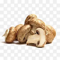 香菇-空若网 香菇-空若网