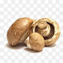 香菇-空若网 香菇-空若网