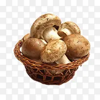 香菇-空若网 香菇-空若网