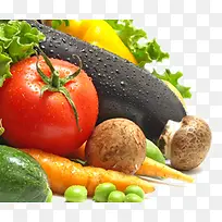 Î÷ºìÊÁÇÑ×ÓÏã¹½-¿ÕÈôÍø Î÷ºìÊÁÇÑ×ÓÏã¹½-¿ÕÈôÍø