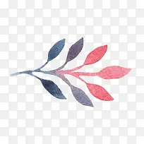 ˮ����Ҷ-������