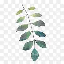 手绘水彩树叶树枝-空若网 手绘水彩树叶树枝-空若网