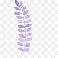 ˮ�ʻ� ֲ��  ���� �ֻ� ��Ҷ-������