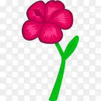 开花植物花瓣叶植物茎芙蓉-空若网 开花植物花瓣叶植物茎芙蓉-空若网