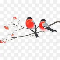 鸟-空若网 鸟-空若网