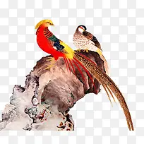 �й�����֦-������