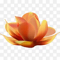 ��ͨ�زĿ�ͨ�й����ز�-������