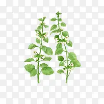 ¿¨Í¨ÊÖ»æÊß²Ë×°Êκ£±¨Éè¼Æ-¿ÕÈôÍø ¿¨Í¨ÊÖ»æÊß²Ë×°Êκ£±¨Éè¼Æ-¿ÕÈôÍø