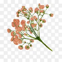 ���տ�ͨС����װ�β廭������-������