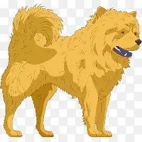 ��ͨ�ɰ�С����װ����ƶ���ͷ��-������