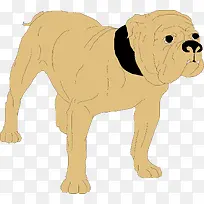 ��ͨ�ɰ�С����װ����ƶ���ͷ��-������