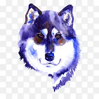 卡通可爱小动物装饰设计动物头像-空若网 卡通可爱小动物装饰设计动物头像-空若网