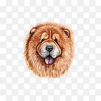 ��ͨ�ɰ�С����װ����ƶ���ͷ��-������