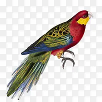 卡通可爱小动物装饰动物头像-空若网 卡通可爱小动物装饰动物头像-空若网