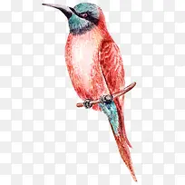 卡通可爱小动物装饰动物头像-空若网 卡通可爱小动物装饰动物头像-空若网