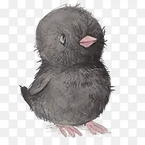 卡通可爱小动物装饰动物头像-空若网 卡通可爱小动物装饰动物头像-空若网