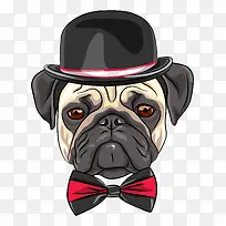 ��ͨ�ɰ�С����װ�ζ���ͷ��-������